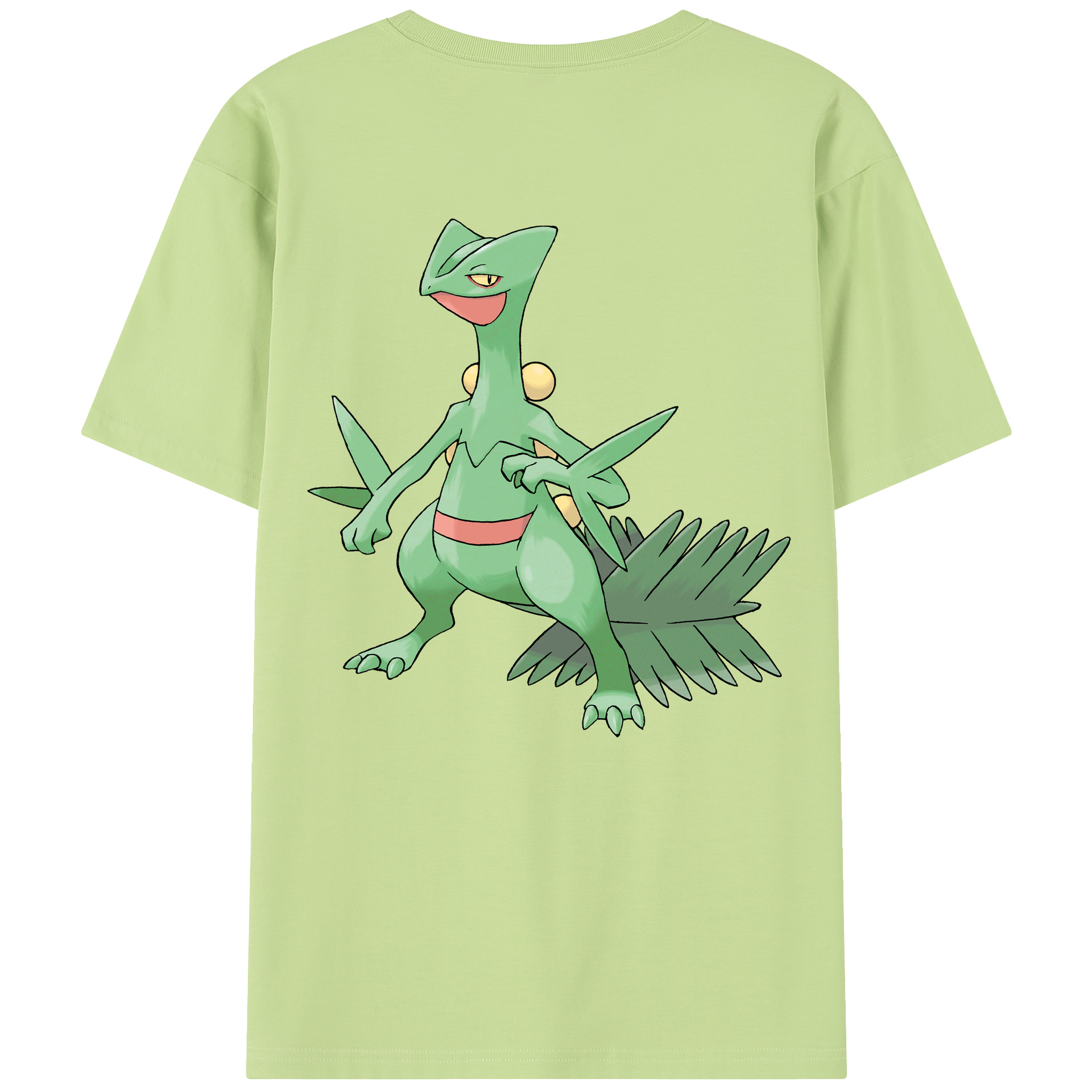 （画像用） ポケットモンスター Pokémon 綿100％半袖Tシャツ（背面プリント）